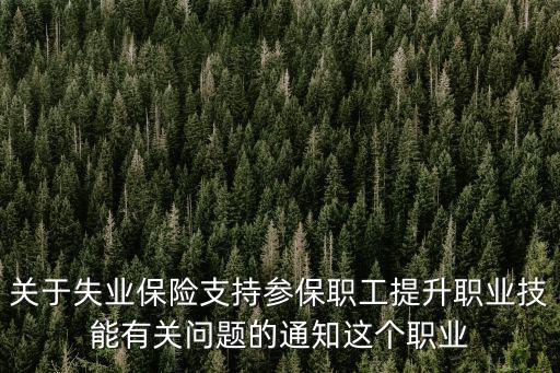 職業(yè)技能提升補(bǔ)貼，關(guān)于失業(yè)保險(xiǎn)支持參保職工提升職業(yè)技能有關(guān)問(wèn)題的通知這個(gè)職業(yè)