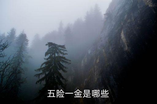 五險一金是哪些