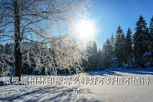 橄欖城柏林印象怎么樣好不好值不值得買