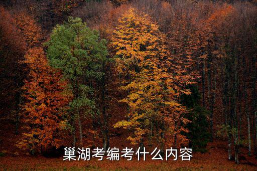 巢湖市人事考試網(wǎng)，巢湖含山縣基層公務(wù)員工資大概是多少啊注明司法所工作