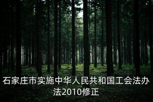 石家莊市實施中華人民共和國工會法辦法2010修正