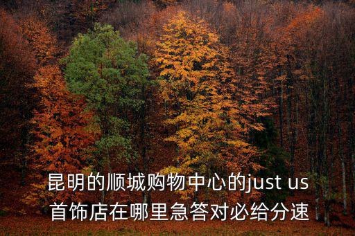 昆明順城購物中心，昆明的順城購物中心的just us 首飾店在哪里急答對必給分速