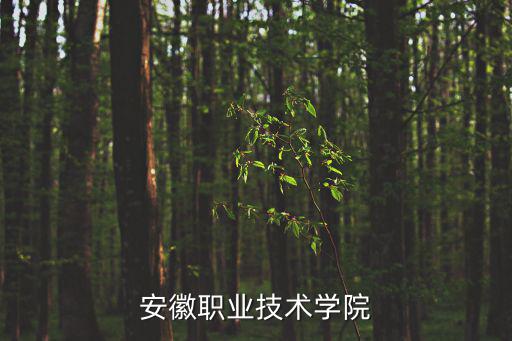 安徽職業技術學院
