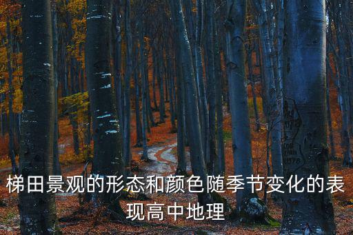 梯田景觀的形態和顏色隨季節變化的表現高中地理