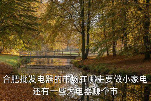 合肥批發(fā)電器的市場在哪主要做小家電還有一些大電器哪個(gè)市