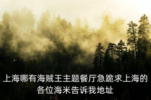 上海哪有海賊王主題餐廳急跪求上海的各位海米告訴我地址