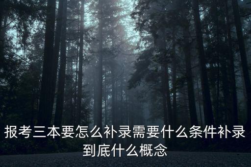 報考三本要怎么補錄需要什么條件補錄到底什么概念