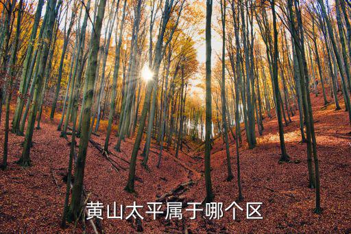 黃山太平，請問安徽黃山區的太平在哪里