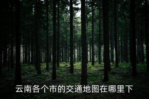 云南各個(gè)市的交通地圖在哪里下