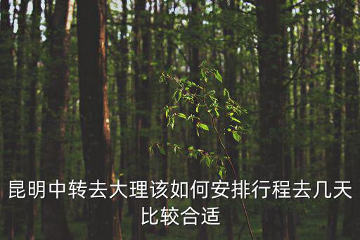 昆明中轉去大理該如何安排行程去幾天比較合適