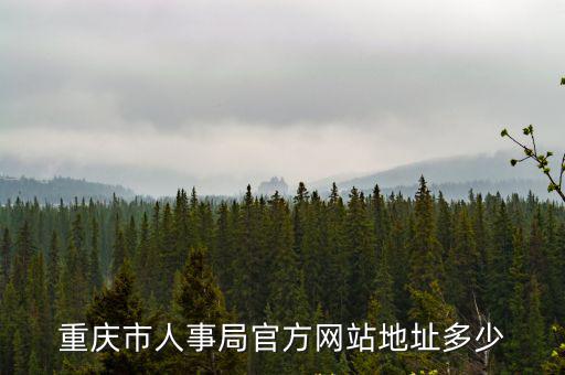重慶市人事局官方網站地址多少
