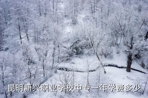 昆明新興職業(yè)學(xué)校，云南新興職業(yè)學(xué)院雜樣