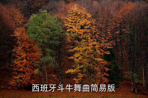 西班牙斗牛舞曲簡(jiǎn)易版