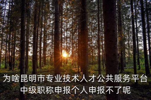 為啥昆明市專業技術人才公共服務平臺中級職稱申報個人申報不了呢