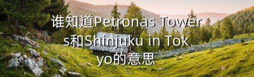 誰知道Petronas Towers和Shinjuku in Tokyo的意思