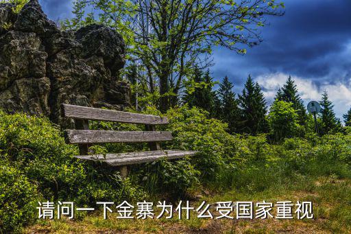 請問一下金寨為什么受國家重視