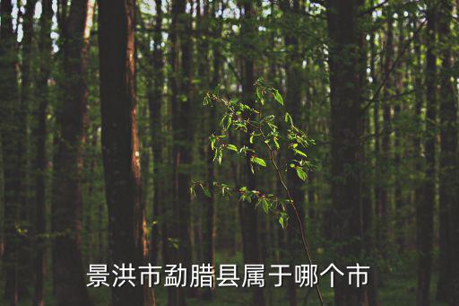 景洪市勐臘縣屬于哪個市