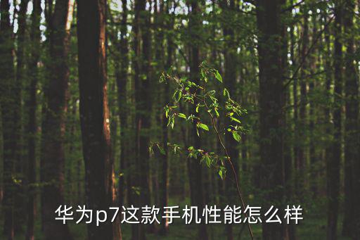 華為p7這款手機性能怎么樣