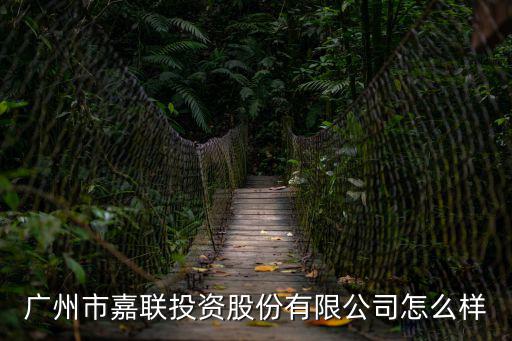 廣州市嘉聯投資股份有限公司怎么樣
