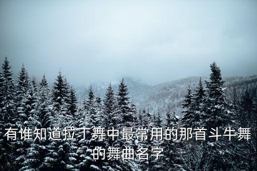 有誰知道拉丁舞中最常用的那首斗牛舞的舞曲名字