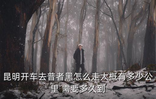 昆明開車去普者黑怎么走大概有多少公里 需要多久到