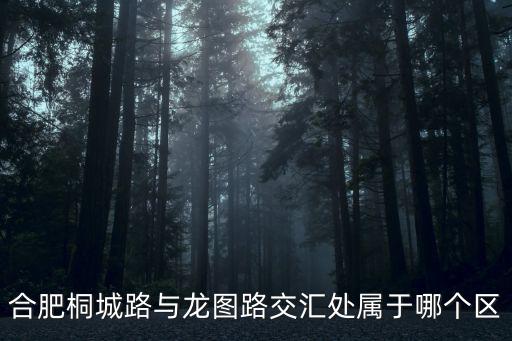 合肥桐城路與龍圖路交匯處屬于哪個(gè)區(qū)