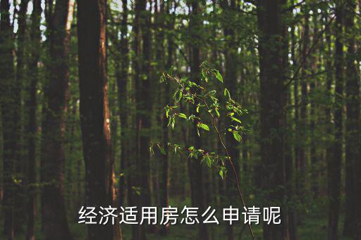 經濟適用房怎么申請呢