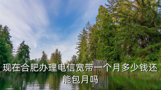 現(xiàn)在合肥辦理電信寬帶一個月多少錢還能包月嗎