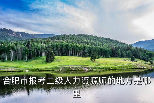 合肥市考試網，合肥市會計從業繼續教育是否可以在網上完成