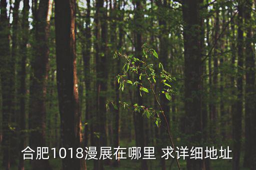 合肥漫展，十一合肥漫展的具體位置