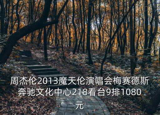 周杰倫2013魔天倫演唱會梅賽德斯奔馳文化中心218看臺9排1080元