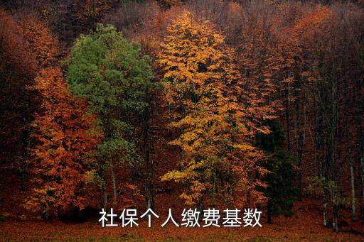 社保個(gè)人繳費(fèi)基數(shù)，社保個(gè)人繳費(fèi)基數(shù)是啥意思