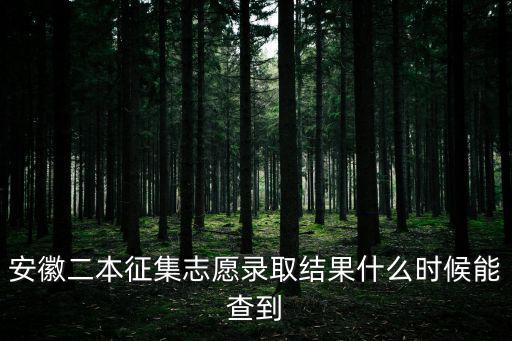 安徽二本征集志愿錄取結(jié)果什么時(shí)候能查到