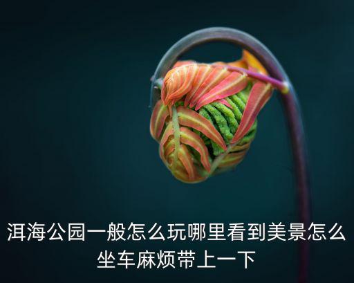 洱海公園一般怎么玩哪里看到美景怎么坐車麻煩帶上一下