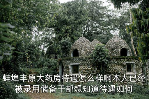 蚌埠豐原大藥房待遇怎么樣啊本人已經被錄用儲備干部想知道待遇如何