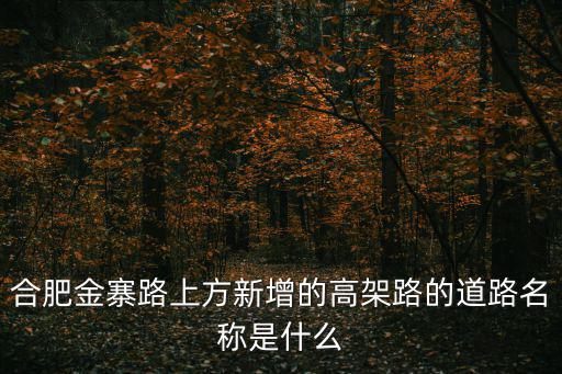 合肥金寨路上方新增的高架路的道路名稱是什么