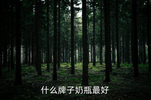 什么奶瓶最好，什么牌子的奶瓶好