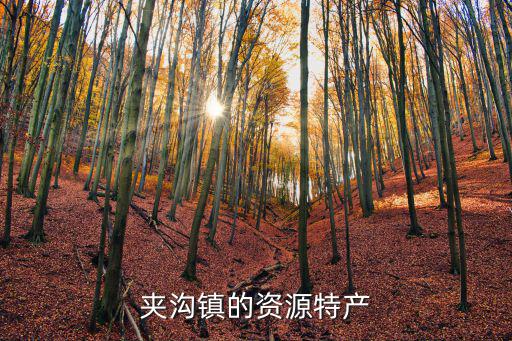 夾溝鎮，夾溝鎮的基本概況