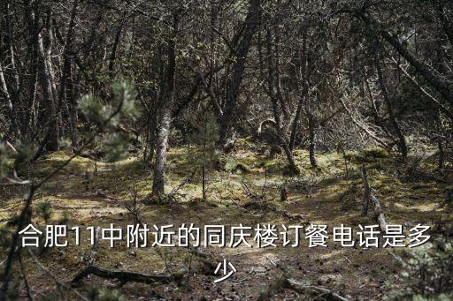 合肥11中附近的同慶樓訂餐電話是多少