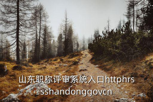 個人職稱申報入口，怎樣申請職稱