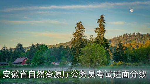 安徽省自然資源廳公務員考試進面分數