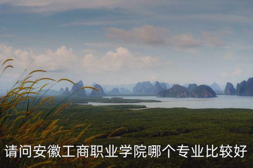 請問安徽工商職業學院哪個專業比較好