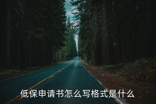 低保申請書怎么寫格式是什么