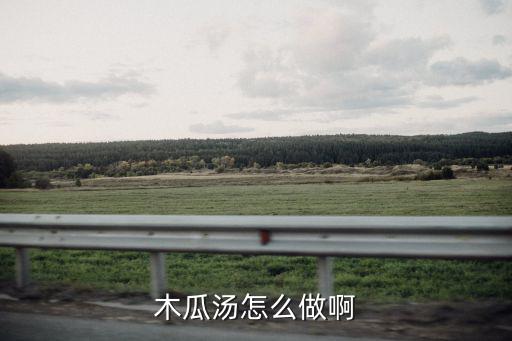 木瓜湯怎么做啊