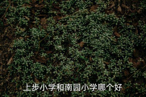 上步小學和南園小學哪個好