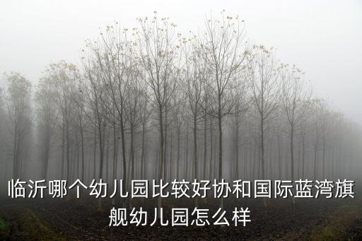 臨沂哪個幼兒園比較好協(xié)和國際藍灣旗艦幼兒園怎么樣