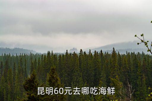 昆明60元去哪吃海鮮