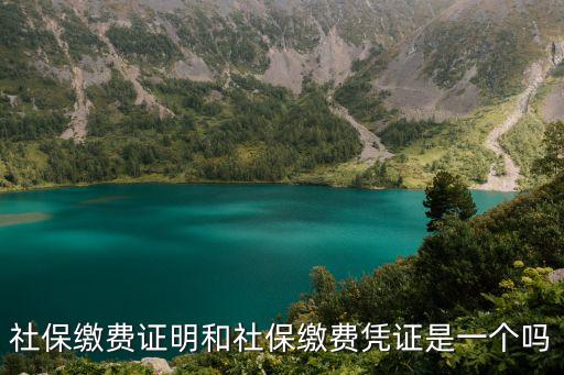 社保繳費證明和社保繳費憑證是一個嗎