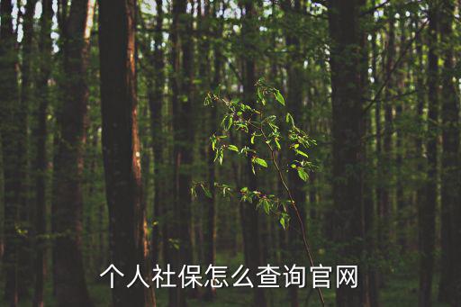個人社保怎么查詢官網