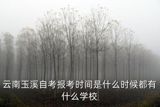 云南玉溪自考報考時間是什么時候都有什么學校